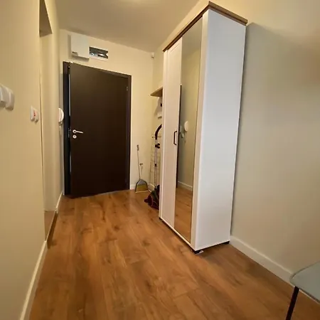 公寓 Mario 内塞伯尔