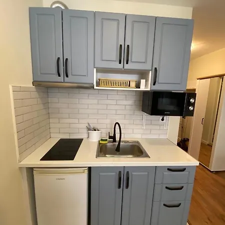 公寓 Mario 内塞伯尔